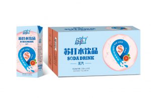 戰(zhàn)燃無汽蘇打水飲品（西柚味）